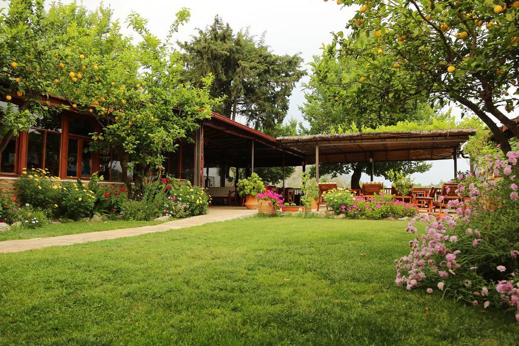 Dalyan Pension Lodge Dalyan